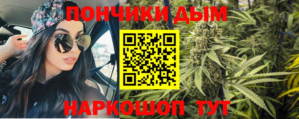 Каннабис планчик Аргун